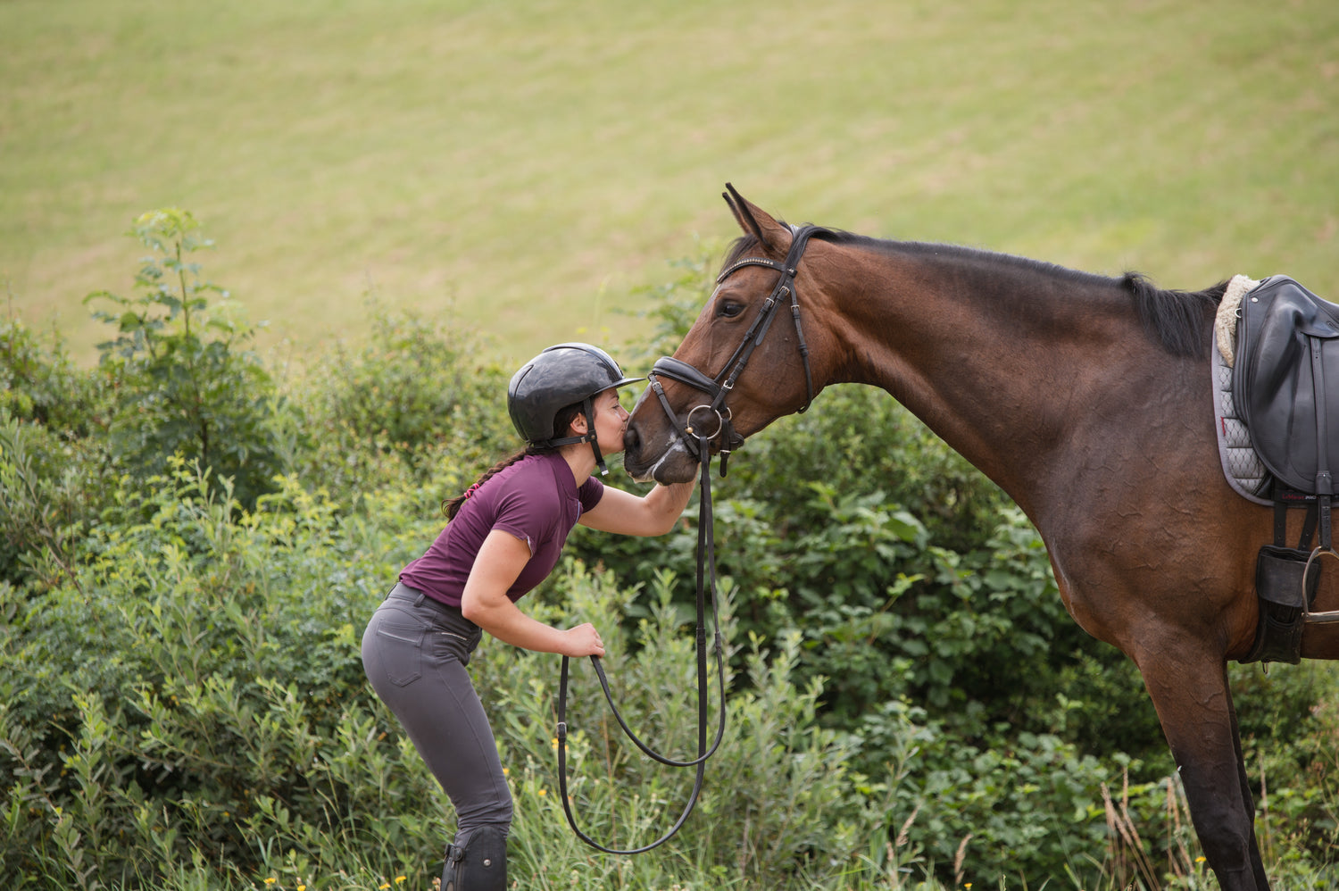 Cheval/Poney