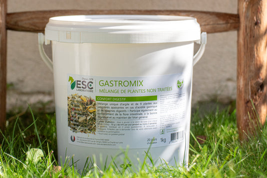 GASTROMIX