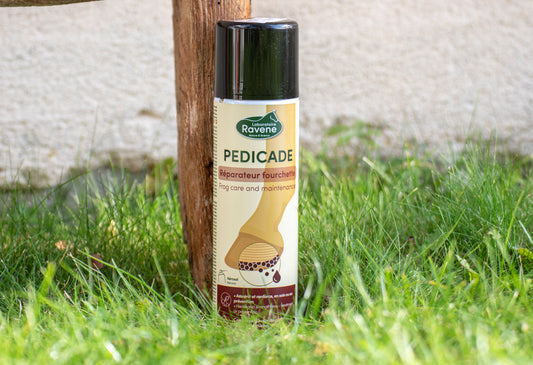 Pedicade RAVENE - Soins fourchette